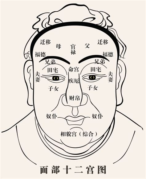 臉頰肉多面相|【面多肉面相】面多肉面相：解開命理秘密，旺夫助運的完美面。